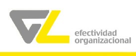 GL EFECTIVIDAD